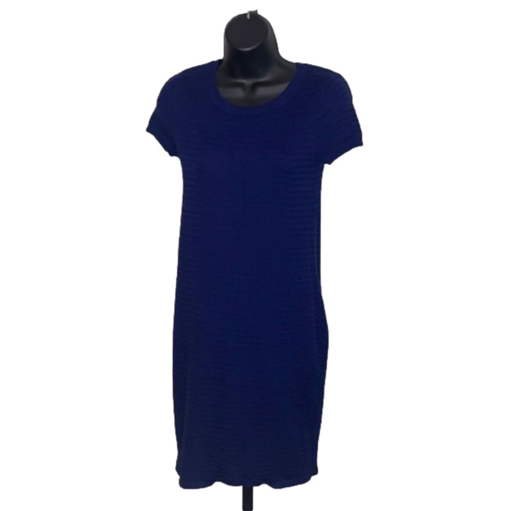𝅺ANN Taylor Factory Sweater Dress